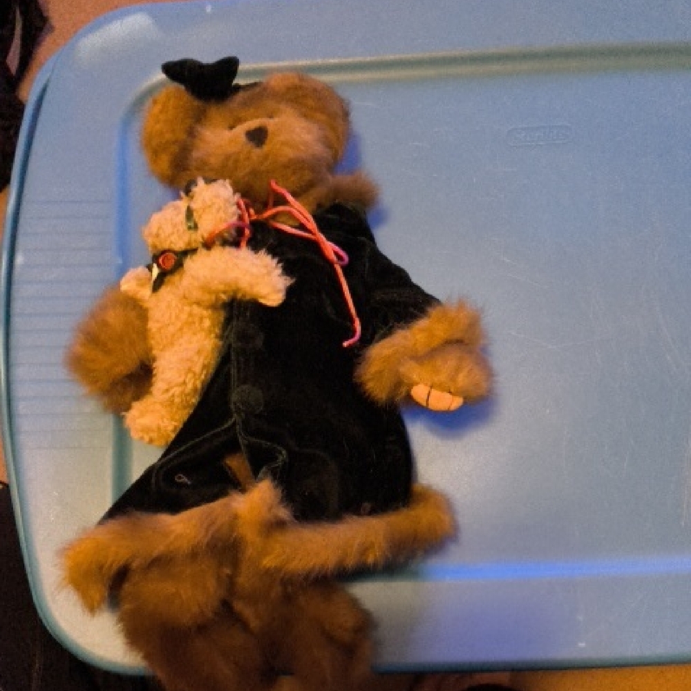Plush Bear in Black Velvet Outfit